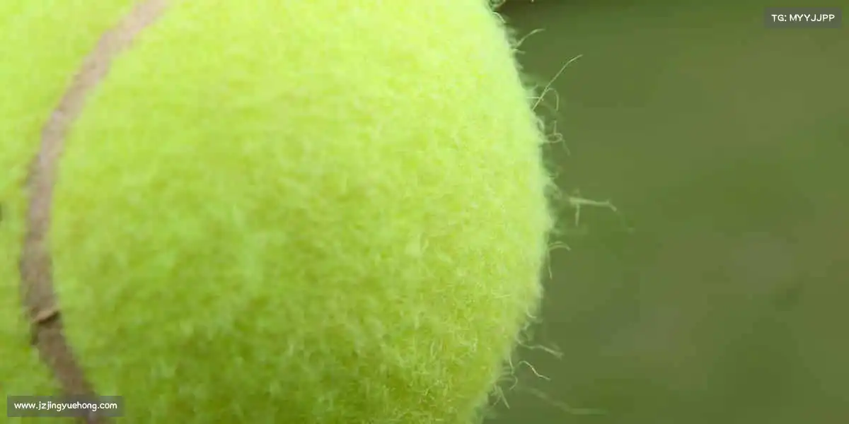 为什么选择我们